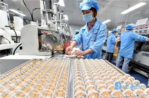 小工厂里的大智慧 高科技技术开发之路